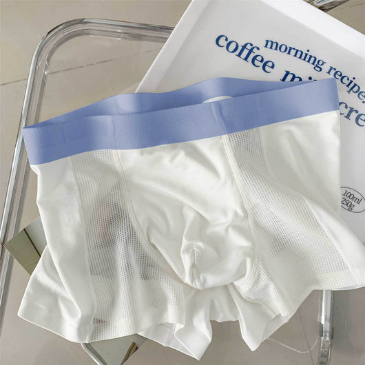 Calzoncillos de Seda de Hielo Transpirables sin Costuras - Comodidad Fresca Todo el Día
