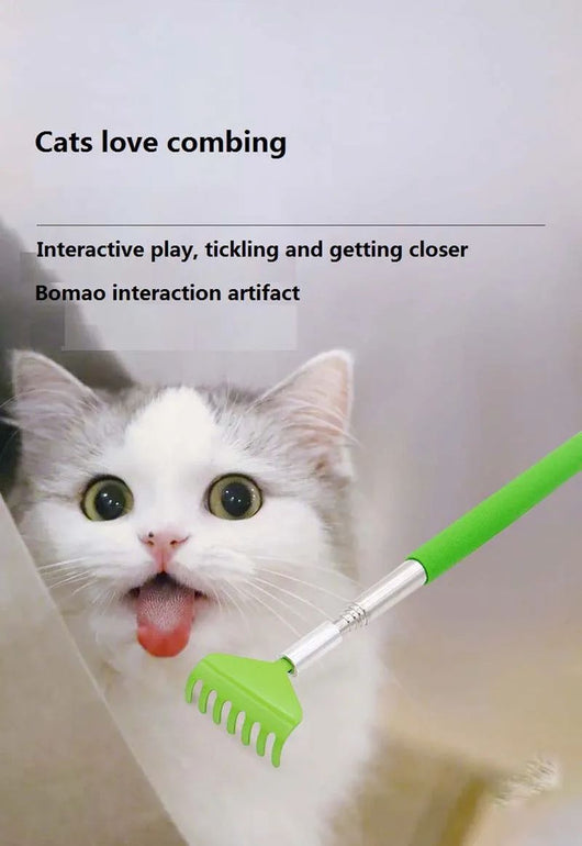 Juguete Interactivo para Gatos con Cepillo Masajeador y Rascador - Image 11