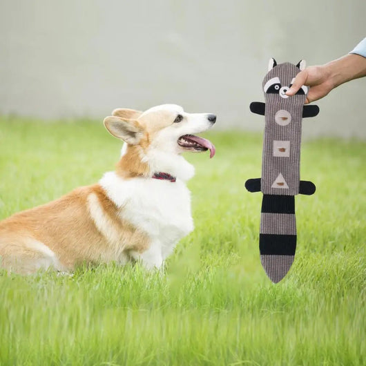 Juguete Mordedor Resistente para Perros con Dispensador de Premios - Image 13