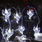 Fuego Fantasma Fantasma 2 M 10 Luces