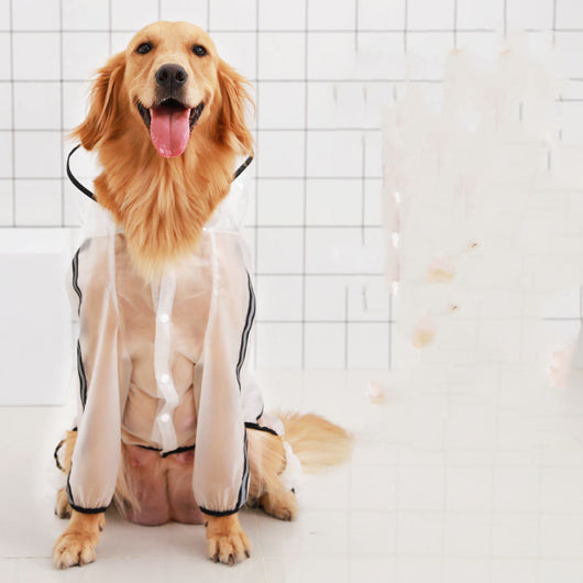 Impermeable Resistente para Perros Grandes - Image 14