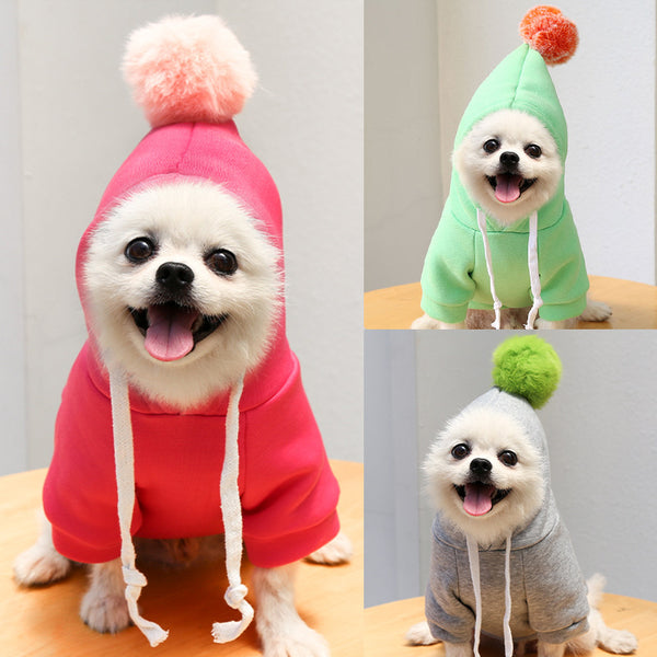 Suéter Otoñal con Diseño de Perro y Gato para Mascotas