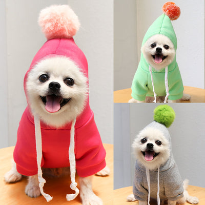 Suéter Otoñal con Diseño de Perro y Gato para Mascotas - Image 2