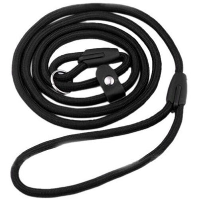 Correa de Nylon para Perro - Resistente y Segura - Image 2