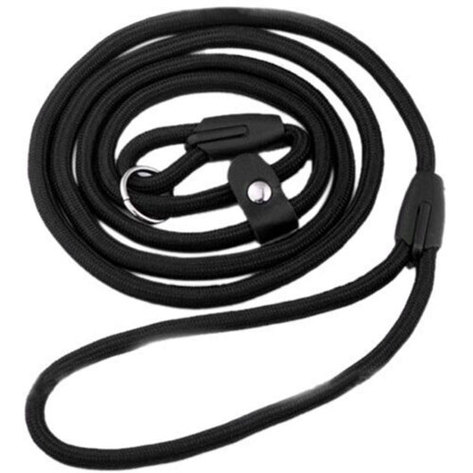 Correa de Nylon para Perro - Resistente y Segura - Image 2