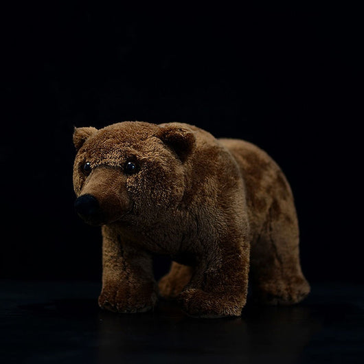 Peluche Oso Pardo Realista - Image 10