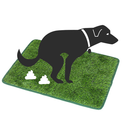 Tapete Sanitario de Pasto Artificial para Perros y Gatos - Entrenamiento Lavable y Reutilizable - Image 8