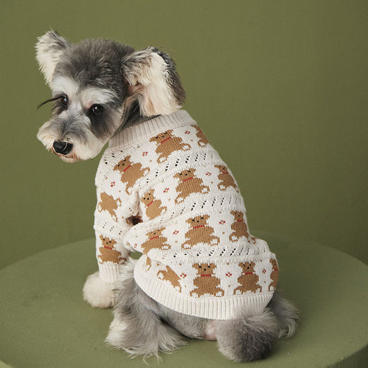 Abrigo VIP para Pomerania Dischnarui - Diseño Adorable para Mascotas - Image 8