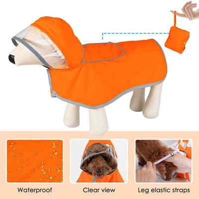 Impermeable para Perros Pequeños con Capucha Transparente - Image 13