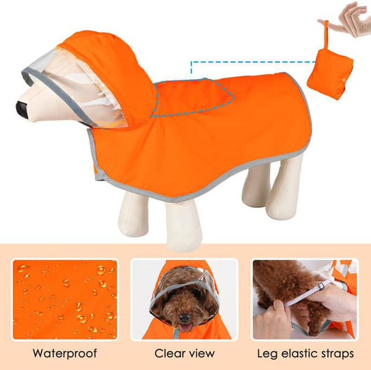 Impermeable para Perros Pequeños con Capucha Transparente - Image 13