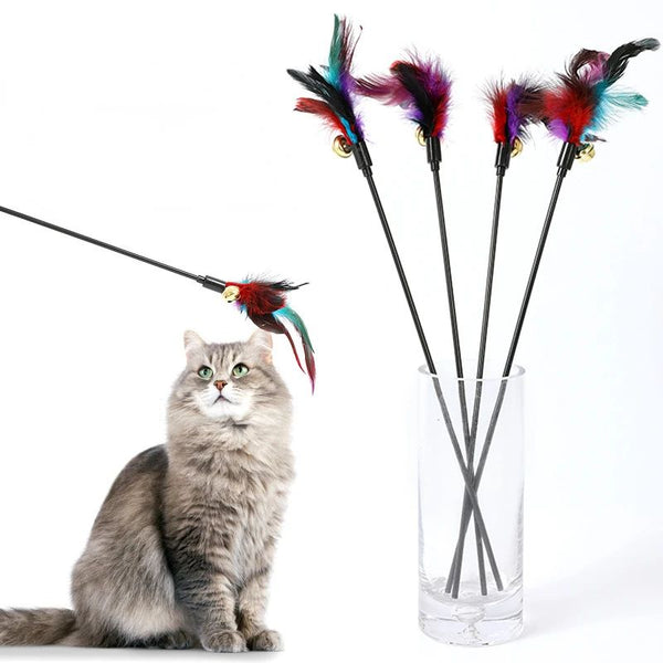 Three cat teaser wands with black sticks, colorful feathers in purple, red, and teal, and small gold bells.