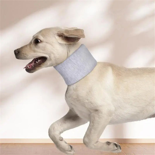 Collar Isabelino Ajustable para Perros y Gatos - Protección Post-Operatoria y Cicatrización - Image 3