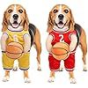 Disfraz de Baloncesto para Perros con Pelota Incluida - Image 12