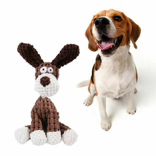 Juguete Interactivo para Perros con Sonido Chirriante y Limpieza Dental - Image 5