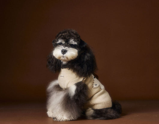 Chaleco Térmico sin Mangas para Perros Schnauzer, Bichón y Razas Pequeñas - Image 19