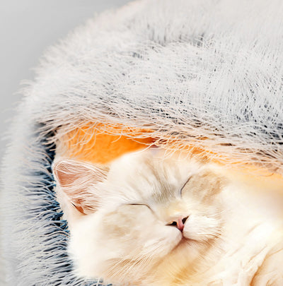 Nido Acogedor para Gatos con Diseño Envolvente - Image 13