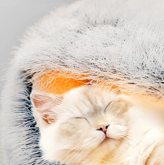 Nido Acogedor para Gatos con Diseño Envolvente - Image 13