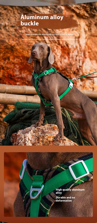 Arnés de Pecho para Perros con Correa de Fácil Colocación - Image 16
