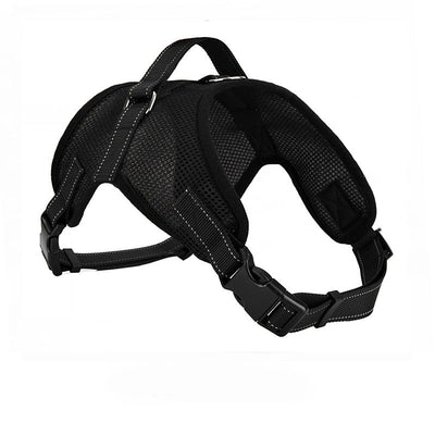 Arnés Pectoral Transpirable para Perro con Correa - Image 5