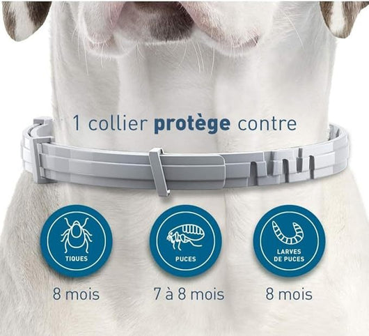 AICONSTO small dog insect repellent collar, gray, offering 8-month protection against fleas, ticks, lice, and flea larvae. - Image 21