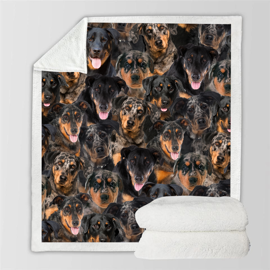 Manta de Franela Estampada para Perros de Diseño Moderno - Image 43