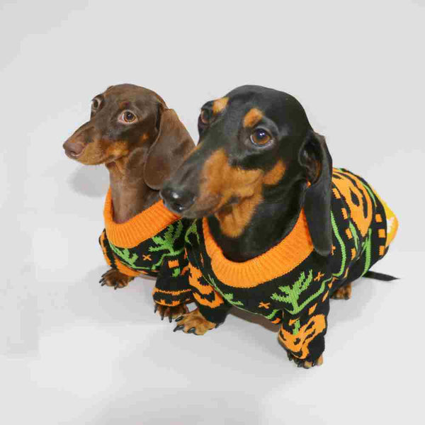 Suéter Cálido para Mascotas en Tonos Naranja - Abrigo Acogedor para Perros y Gatos