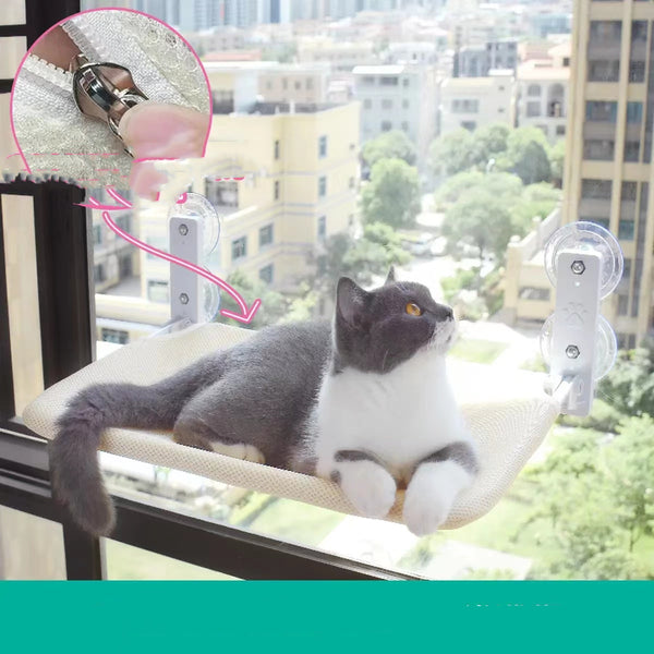 Hamaca de Ventana con Ventosas para Gatos - Cama Colgante de Vidrio - Image 6