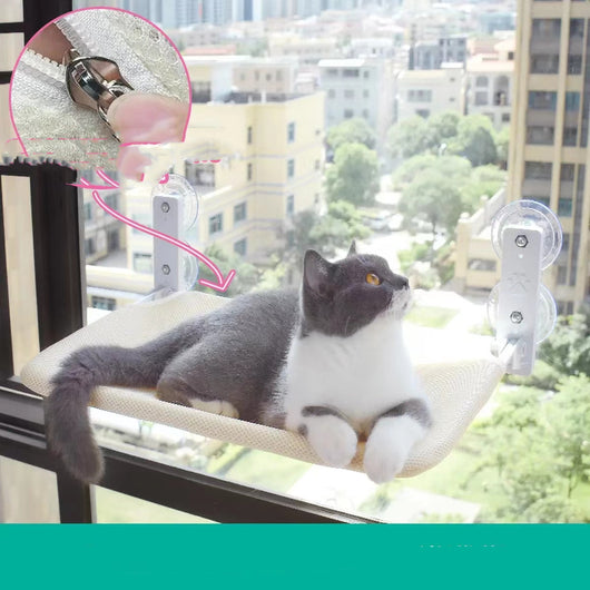 Hamaca de Ventana con Ventosas para Gatos - Cama Colgante de Vidrio - Image 6