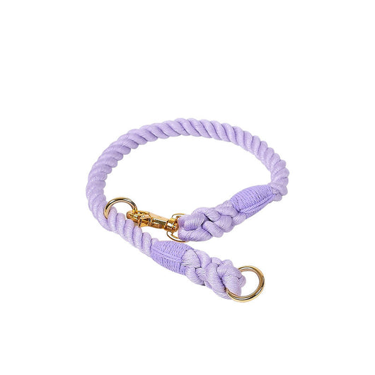 Collar Tipo P Ajustable para Perros Pequeños y Medianos - Image 10
