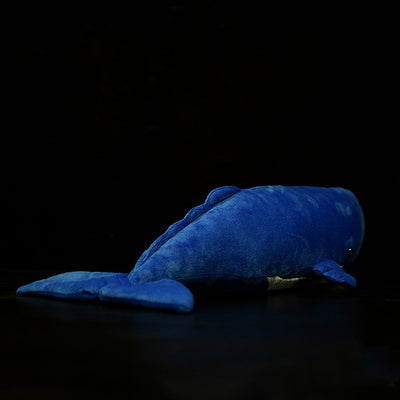 Peluche Ballena Cachalote Adorable - Image 7