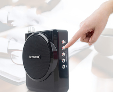 Amplificador de Potencia para Parlantes Profesional - Image 10