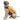 Reflective Printed Pet Dog Life Jacket Dog Swimming Suit
