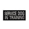SERVICE Dog IN