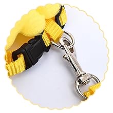 Arnés Ajustable con Alas y Cuerda de Tracción para Aves de Corral y Mascotas Pequeñas - Image 15