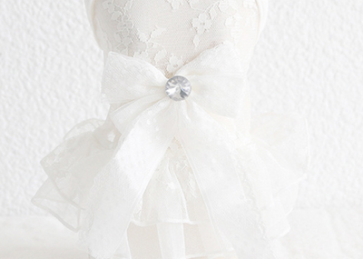 Vestido de Encaje para Mascotas Pequeñas - Falda de Boda Elegante - Image 10