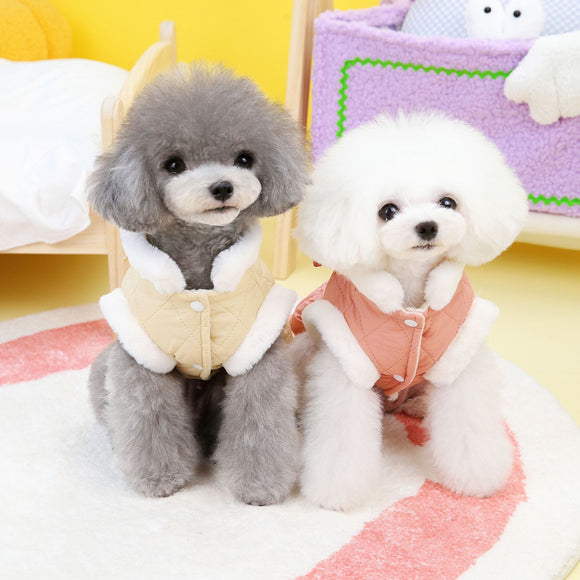 Vestido Acolchado para Perros Pequeños con Diseño de Mariposa