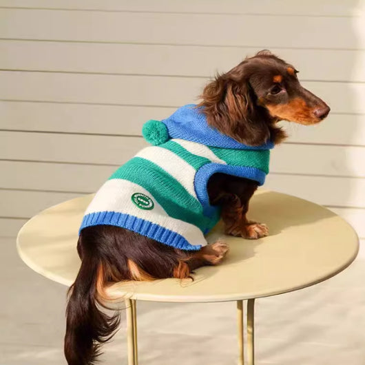 Abrigo Tejido con Capucha a Rayas para Mascotas