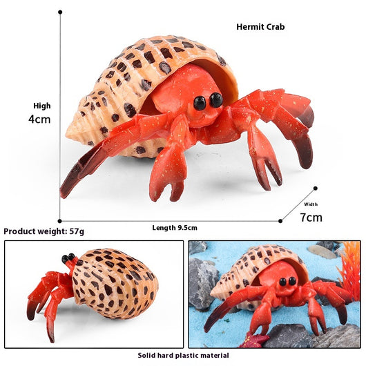 Juego Educativo de Animales Marinos Realistas para Niños - Image 74