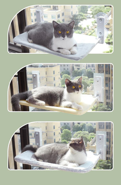Hamaca de Ventana con Ventosas para Gatos - Cama Colgante de Vidrio - Image 2