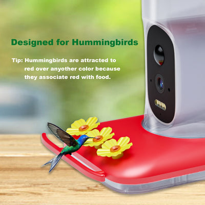Comedero Inteligente para Colibríes con Cámara HD 5MP - Image 9