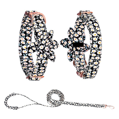 Juego de Collar y Correa Personalizado para Mascotas - Image 54