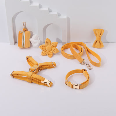 Conjunto de Collar y Correa de Terciopelo Suave para Mascotas - Image 36