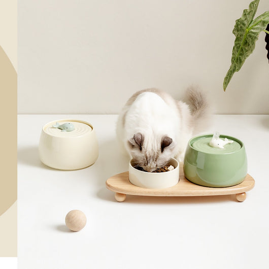 Dispensador Automático de Agua Circulante para Gatos con Filtro Cerámico - Image 9