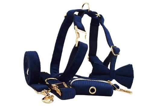 Collar y Correa para Perro en Pana Azul Marino - Cuerda de Sujeción para Exterior - Image 11