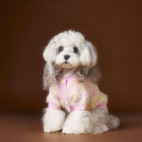 Suéter Cardigan Adorable para Perros Schnauzer y Bichón