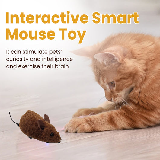 Brown interactive mouse toy for cats with a sound chip, shown in packaging with a kitten graphic and as a standalone toy. - Image 8