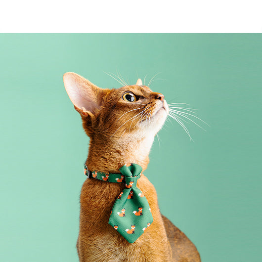 Corbata Ajustable para Perros - Accesorios de Moda Gentleman para Mascotas - Image 6