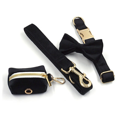 Collar de Terciopelo Negro con Hebilla Dorada y Kit Completo para Paseos