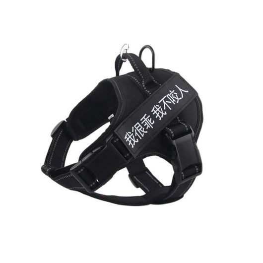 Arnés Pectoral para Perros Medianos y Grandes - Image 3
