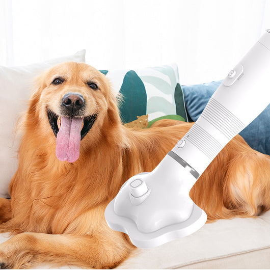 Secador Eléctrico 2 en 1 para Mascotas con Extracción de Pelo - Image 2
